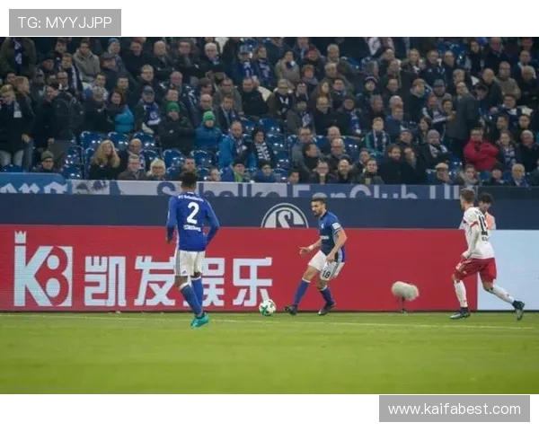 凯发足球平台安全保障措施详解,保障玩家游戏体验与资金安全